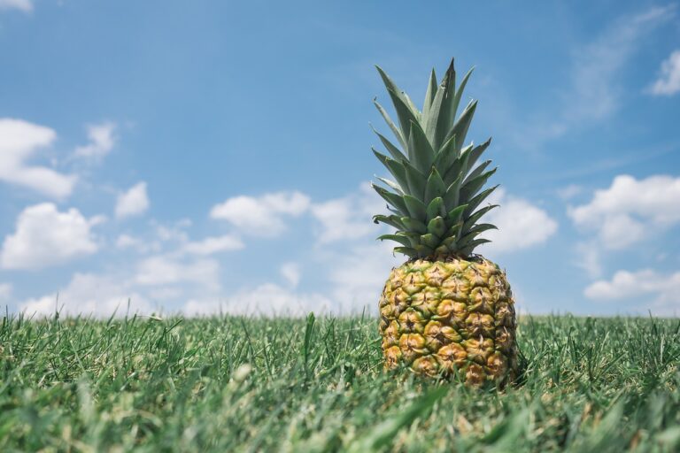 The Influence of Food Influencers on Food Trends